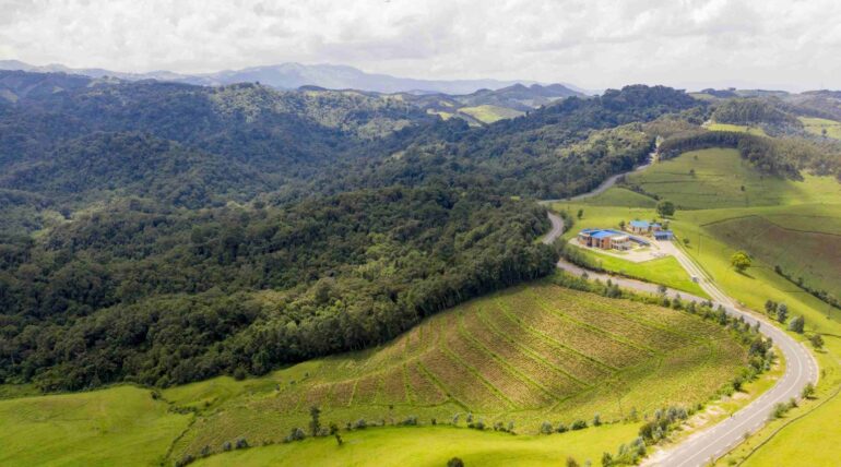 GISHWATI NZIZA SIGHTINGS